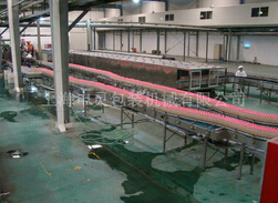 果汁飲料空瓶包裝生產線為功能飲料而生